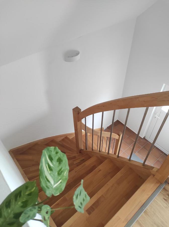 Ferienwohnung Im Distelweg Scheid  エクステリア 写真
